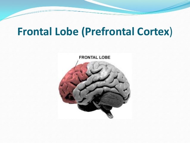frontal lobe teen Ductwork access door side vs bottom